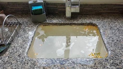 Kitchen Sink Clogging