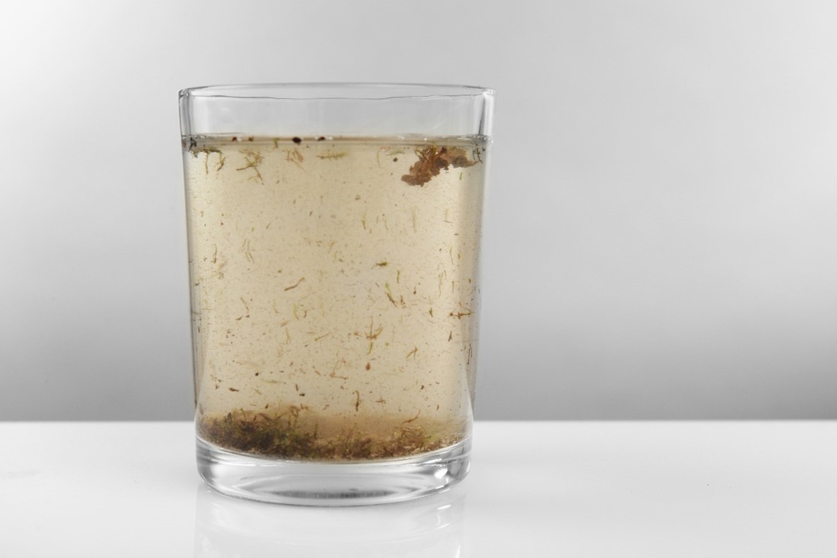 glass of contaminated water with black specks